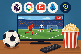 即时比分球探网Logo